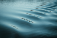 Gentle ripples across calm blue water creating soft flowing patterns